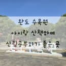 [완도여행] 완도 수목원 요금, 주차, 아이랑 산책하기 좋은 곳