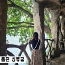 울진 가볼만한곳 성류굴 요금 무료주차 주의사항 꿀팁