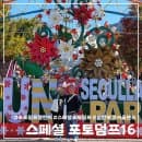 [스페셜포토덤프] 가을의 서울랜드! 임산부도 즐길 수 있다! (주차요금, 포토존 등)