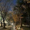 [경주 여행] 경주 가볼만한 곡 3탄 : 대릉원 위치, 요금, 주차 후기 *내돈내산