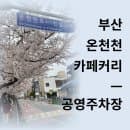 부산 온천천카페거리 공영주차장 위치 요금 이용팁 + 일찍 문 여는 카페 그리고 벚꽃엔딩