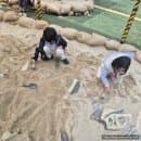 경남 아이와 가볼만한곳 고성 당항포 관광지 주차 요금 및 공룡 봄시즌 완벽 코스