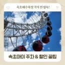 속초아이 대관람차 할인받는법! 속초해수욕장 주차장 주차비 요금 및 무료 주차 꿀팁