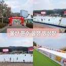 울산 눈썰매장 아이랑 꿀잼빙상장 위치 시간 요금 예약 주차장