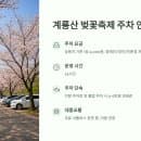 계룡산 벚꽃축제 주차요금과 주차단속 안내