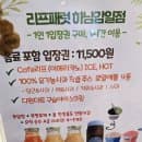 [하남] 아이와 가볼만한 곳 추천, 앵무새 교감 카페 리프패럿 방문기 (주차, 운영시간, 이용요금)