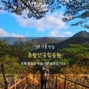 주왕산 단풍시기 11월 실시간 현황 주차장 요금 경북단풍명소