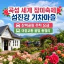 곡성 세계 장미축제 섬진강 기차마을 장미공원 주차 요금 대중교통 꿀팁 총정리