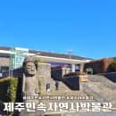 제주 민속자연사박물관 주차장 입장료 주차요금