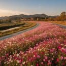 고양 행주산성·창릉천 코스모스 가을 산책 코스 — 주차 요금 비교와 둘레길 소요시간 체크리스트