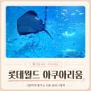 서울 가볼만한곳 롯데월드 아쿠아리움ㅣ아이와함께...입장권·요금·할인·주차·신규전시 물빛정원