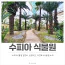 수피아식물원 입장료, 주차요금, 운영시간, 부천호수식물원으로 여행 떠나기
