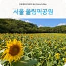 서울 올림픽공원 들꽃마루 해바라기 구경 간 올림픽공원 주차 요금