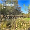 다산 생태공원 주차장 주차 요금 돗자리 숲 주말 산책