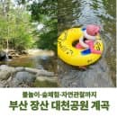 장산 계곡 물놀이 가는 법 대천공원 주차장 위치,요금, 아이숲체험 신청 방법 총정리