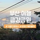 [부산 여행] 금정산 금강공원 단풍 명소 케이블카 요금 및 주차꿀팁