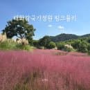 울산 10월 가볼만한곳 태화강국가정원 핑크뮬리 주차요금