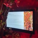 강원도 영월 가볼만한곳 젊은달와이파크 후기. 주차/소요시간/요금/포토존+꿀팁有