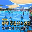 평택 무봉산수영장 후기｜아이와 가기 좋은 숲속수영장 주차·요금·이용팁