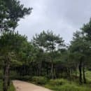 [속초 낙산사] 힐링 오션뷰 주차요금 해수관음상 속초여행