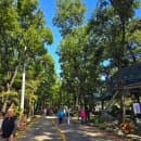 안양 예술공원::서울대학교 관악수목원 개방 단풍구경(주차요금)