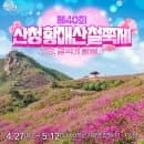 [2024년 산청 황매산 철쭉제] 정상 주차장 주차요금, 주차 꿀팁, 황매산 철쭉제 먹거리, 황매산 철쭉...