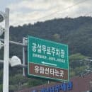 거제도 7살 여행 장승포항 외도+해금강 유람선타기 요금 주차정보