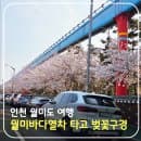인천 월미도 봄나들이 월미 바다열차 타고 벚꽃 구경 / 예매 / 운행 시간 / 노선(코스) / 요금 / 주차장