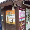 첨성대 핑크뮬리 무료주차 정보 비단벌레 전기자동차 요금 운행시간 경주 가볼만한곳