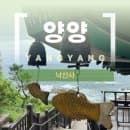 속초 낙산사 해수관음상 홍련암 무료차누각 기념품 다래헌카페 주차요금 정리