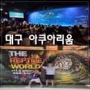 대구 아쿠아리움 신세계백화점 이용요금 할인혜택 주차 실내가볼만할곳