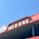 2026년 5월 4일 태안세계튤립꽃박람회 실시간 튤립 (요금, 주차, 먹거리 등)