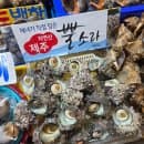 인천 연안부두 종합어시장 공영주차장 지상3층 준공·요금은!