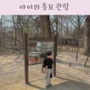 종묘 공영주차장 주차 요금 할인 아이와 종묘 관람