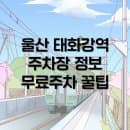 울산 태화강역 주차장 정보, 주차요금 무료주차 꿀팁