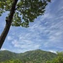 <하동 쌍계사> 경남 하동 가볼만한곳 / 하동 여행 코스 / ft. 쌍계사 주차요금 / 입장료