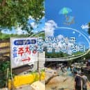 대전 공주 동학사 계곡 주차 요금, 취사 여부 총정리