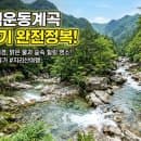 경남 계곡 추천, 여름 피서지 해결하는 당일치기 명소 (산청 백운동계곡 | 평상·주차 요금)
