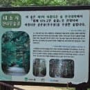 [부안] 주차요금 전기차 충전소 위치 버스시간표 기념품 사고 오디주스 사먹은 내소사