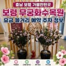충남 보령 가볼만한곳 보령 무궁화수목원 요금 볼거리 예약 주차 정보