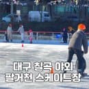 대구 칠곡스케이트장 팔거천야외스케이트장 주차 요금 시설