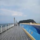 여수 오동도 총정리, 주차요금 동백꽃 개화시기, 시설