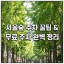 서울숲 주차 꿀팁 공영주차장 요금 및 디타워 무료 이용 가이드