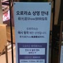 [인스파이어] 영종도 실내데이트 /오로라쇼/ 주차요금 / 놀거리 추천