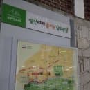 대구 벚꽃 명소 앞산 빨래터공원 실시간 후기(주차장·요금·혼잡도 총정리)