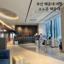 부산호텔 소노문 해운대 스탠다드 더블 솔직후기 주차 객실요금