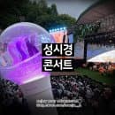 콘서트 2026_후기_주차 팁 주차요금_일정 시간_게스트...김광진 싸이_입장 러닝타임 방석 | 연세대노천극장