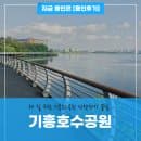용인 8경 중 제3경! 해 질 무렵 기흥호수공원 산책길 걷기(탐방로, 카페, 주차요금 꿀팁 등)