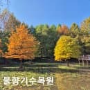 오산 물향기수목원 입장료 무료｜주차요금·운영시간부터 산책 후기까지