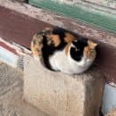 아이랑 급행1번타고 대구동화사 다녀온 후기 팔공산씨티투어 템플스테이 주차요금 정리